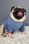 Pet sweater Clothes