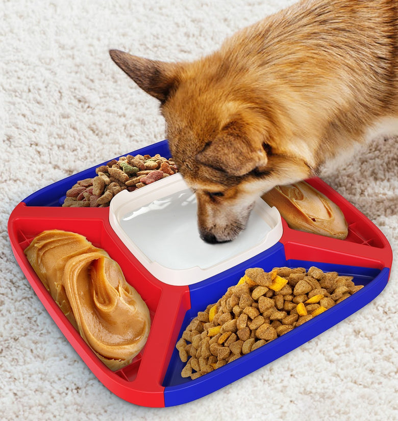 Pet Supplies Dog Automatic Feeder