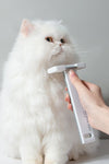 Floating Hair Removal Pet Grooming Cat Supplies