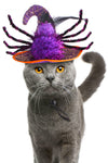 Pet Funny Headdress Cat Halloween