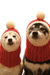 Dog Halloween Christmas headgear