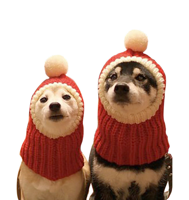 Dog Halloween Christmas headgear