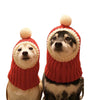 Dog Halloween Christmas headgear