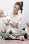 Pet Grooming Tool For Shaving And Grooming