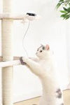 Pet Cat Toy Electronic Motion Cat Toy Interactive