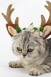 Christmas pet cat dog hat