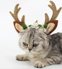 Christmas pet cat dog hat