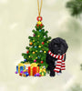 Christmas Hat Dog Cat Christmas Halloween Acrylic Flat Pendant Ornament