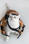 Halloween Pet Cat Dog Spider Costume Cool Cosplay