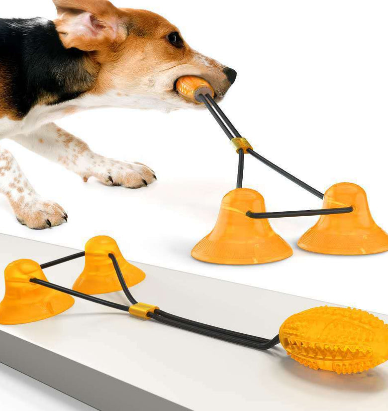 Suction Cup Pets Toys