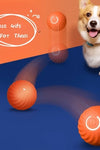 Pet Dog Rubber Ball Toys For Dogs Resistance To Bite Dog Chew Toys Puppy Pets Dogs Training Products