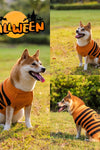 Halloween Dog Sweaters Pet Costume Teddy Warm Leisure Sweater Cosplay Clothes For Dogs Pets Outfits