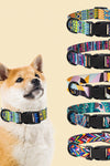 Dog Collar Neck Collar Pet Leash