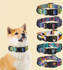 Dog Collar Neck Collar Pet Leash