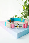 Original Design Pet Dog Hit Color Collar