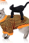 Halloween Pet Funny Black Skull Horror Make-up Cat Accessories Pet Dress Up Costume