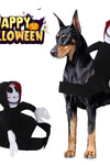 NEW Funny Pet Halloween Costume Halloween Pet Decoration Dress Up Pet Cosplay Costume Halloween Pet Clothes Spider Pumpkin Vest