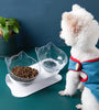 New Inclined Food Cat Ear Oblique Mouth Transparent Single Pet Bowl