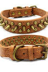 Bronze pointed rivet pet collar - PawfectPicks