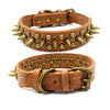 Bronze pointed rivet pet collar - PawfectPicks