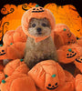 Pet Hat Halloween Funny Pumpkin Hat Cute Pet Animal Costume