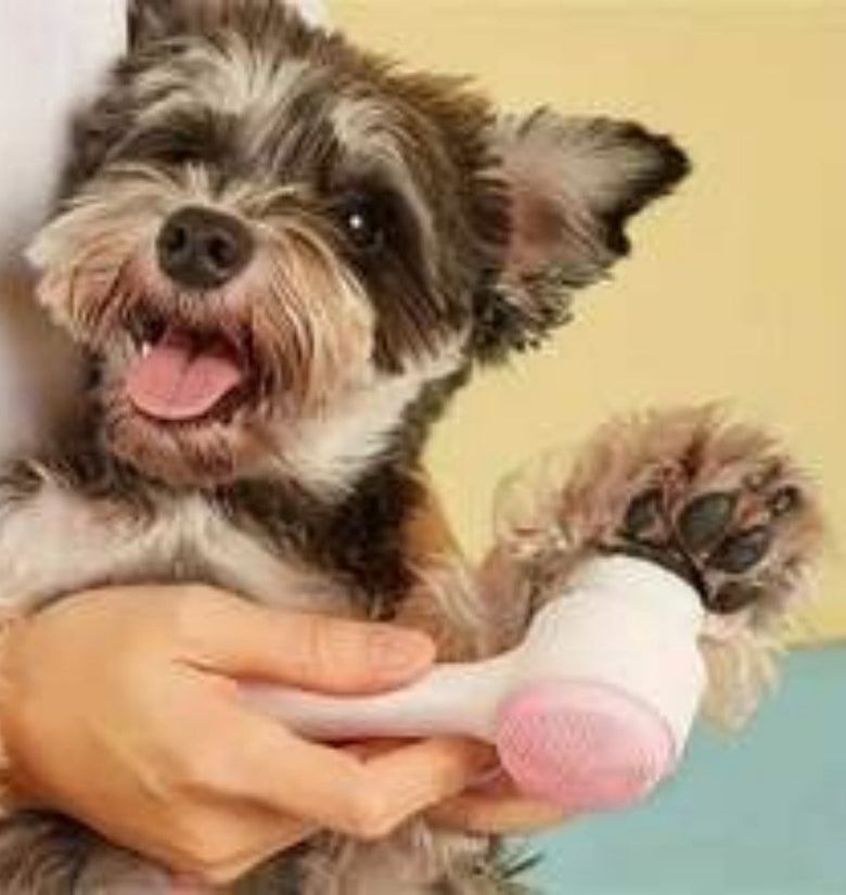 Easy Clean Nylon Pet Paw Brush Gentle Grooming And Massage Tool For Dogs And Cats Pet Grooming Supplies