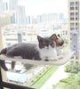 Cat Suction Cup Window Glass Hammock Pet Cat Pets Products - PawfectPicks