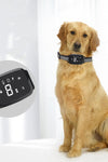 Charged Waterproof Dog Trainer Pet Collar - PawfectPicks