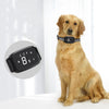 Charged Waterproof Dog Trainer Pet Collar - PawfectPicks