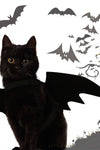 Halloween Costume Pet Bat Wing Pet Cosplay Prop Halloween Clothes Cat Dog Costume Pets Products